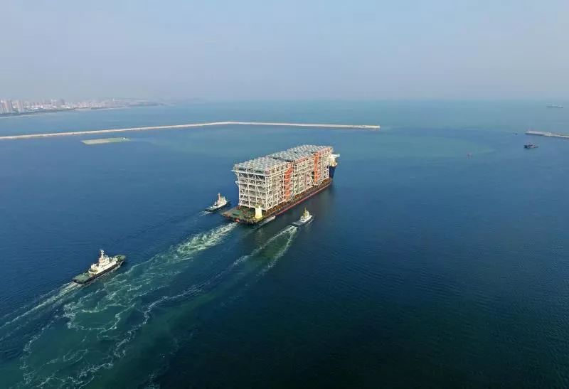 里程碑，萨比策完成多特生涯第100次出场（萨比策多特百场里程碑达成）